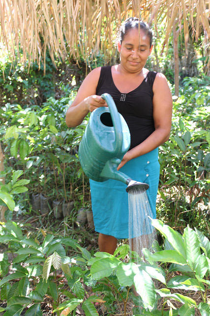 Belkys García is in charge of the Plan Grande nursery, where seedlings are grown to reforest the Matías river basin, which provides hydropower for the village, and to grow fruit and timber trees to generate incomes for this isolated fishing village in Honduras’ northern Caribbean region. (Photo: Thelma Mejía / IPS)