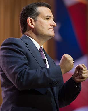 Senator Ted Cruz has called for the carpet bombing of Syria and Iraq