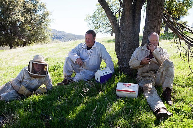 Beekeeper Bill Anderson takes a lunch break with sons Kyle, far left, and Jeremy. (Photo: Chris Jordan-Bloch / Earthjustice)