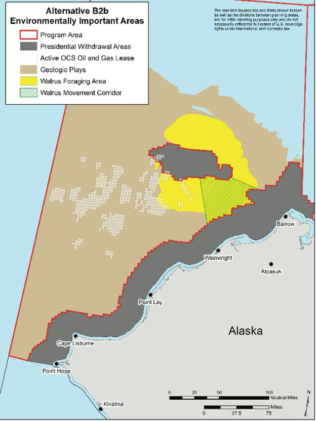  Areas being considered for exclusion in Chukchi. (Chart: Courtesy Bureau of Ocean Energy Management)