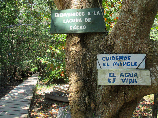 'Let's Protect The Mangroves' and 'Water Is Life' read two of the signs at the entry point to the dock on the Cacao Lagoon, located along the Caribbean coast of Honduras. (Photo: Sandra Cuffe)