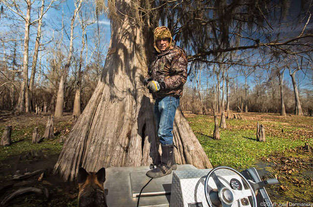 Dean Wilson in the Atchafalaya Basin in front of a cypress tree in the proposed path of the Bayou Bridge pipeline. (All photos by Julie Dermansky)