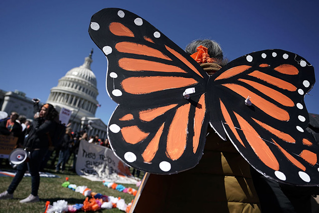 An immigration activist wears butterfly wings during a protest March 5, 2018, on Capitol Hill in Washington, DC. (Photo: Alex Wong / Getty Images)