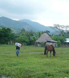 Honduras Wealthy Landowners Attempt to Quash Farming Collectives